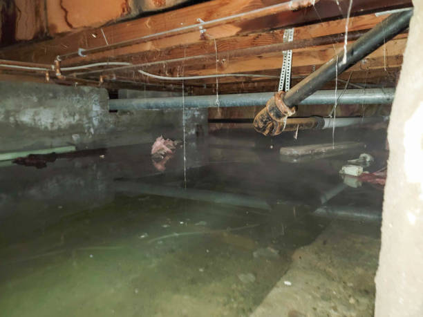  Goddard, KS Water damage restoration Pros
