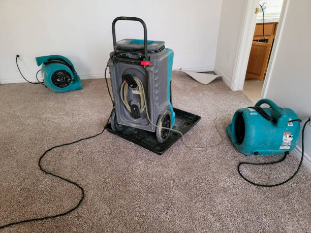 Best Residential water damage restoration  in Goddard, KS