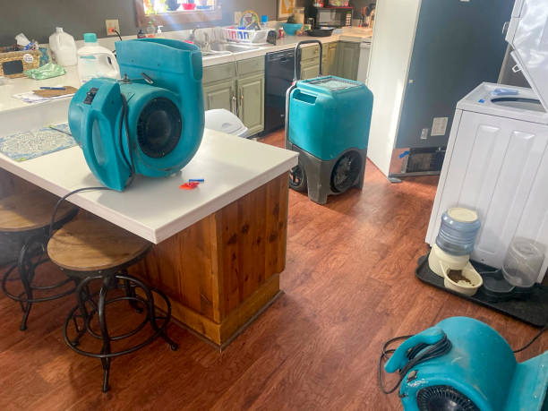 Best Mold removal after water damage  in Goddard, KS