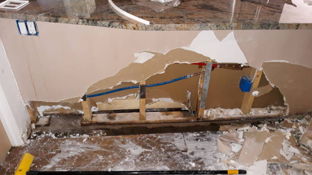 Best Carpet water damage restoration  in Goddard, KS
