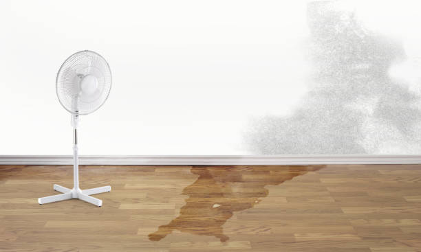 Best Water damage restoration near me  in Goddard, KS
