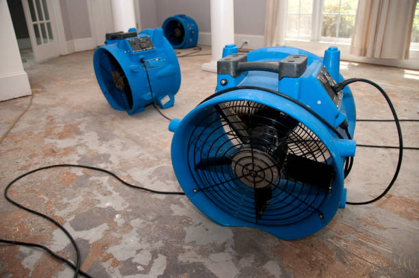Best Commercial water damage restoration  in Goddard, KS