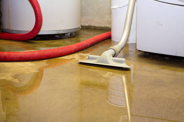 Best Sewage cleanup and water damage restoration  in Goddard, KS