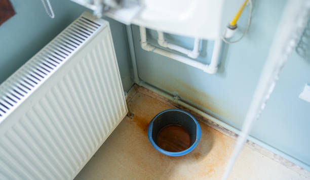 Best Sewage cleanup and water damage restoration  in Goddard, KS