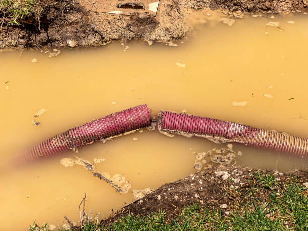 Best 24/7 water damage repair  in Goddard, KS