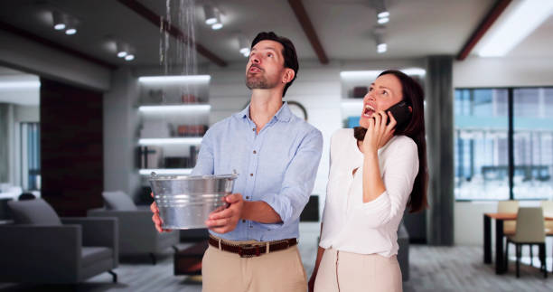 Best Water damage repair service  in Goddard, KS